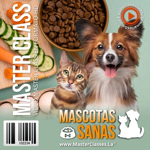 Portada de una Master Class titulada 'Mascotas Sanas', con la imagen de un perro y un gato junto a un plato de comida para mascotas. En el fondo se observan alimentos frescos como zanahorias, pepinos y huevos. Diseño promocional en tonos verdes y naranjas